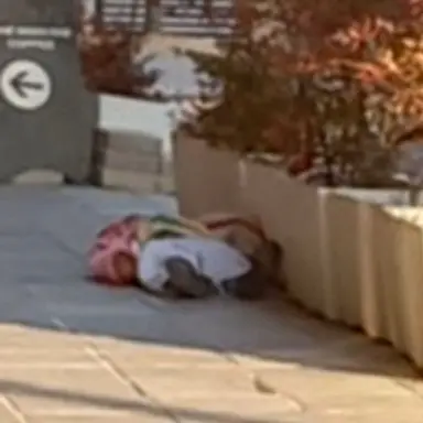 Profile image of 여우