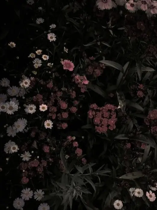 RuralMoss2864의 That Rumored Guy 🌙