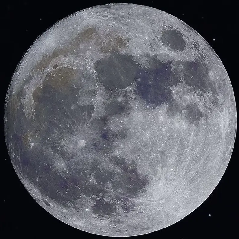 RuralMoss2864의 🌙