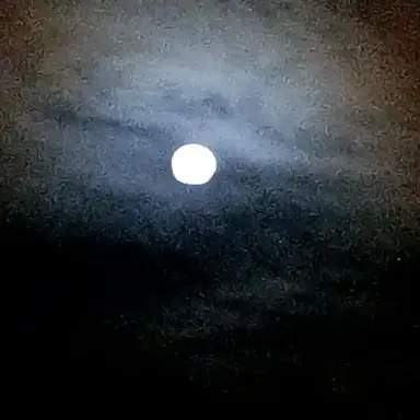 Profile image of モブ子
