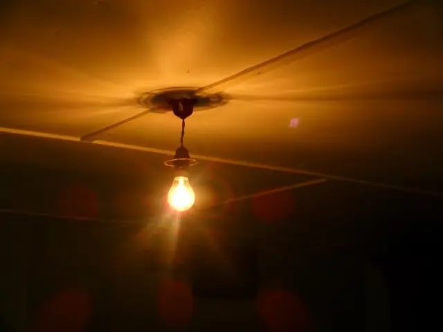 Profile image of Lightbulb