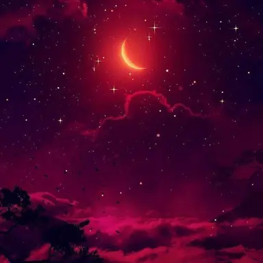 Profile image of Naomi