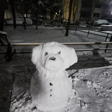 Profile image of 늑대