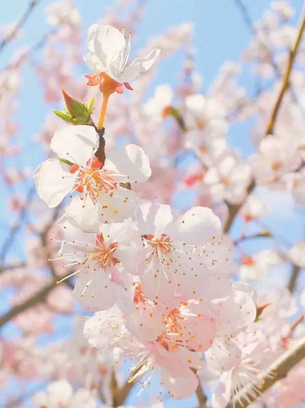 DirtyPlate7463의 천호김밥풀
