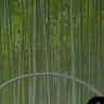 Profile image of 阿部亮平