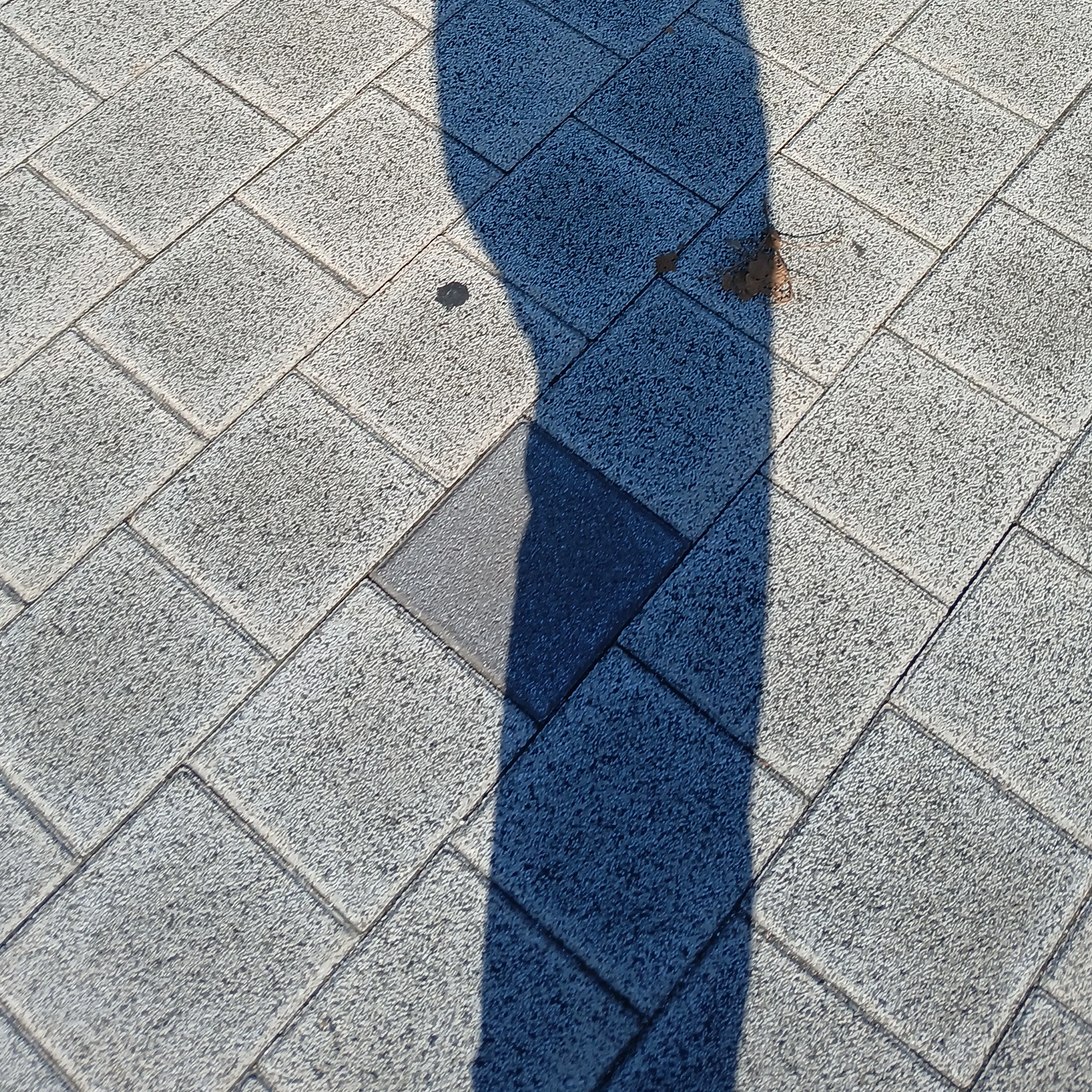 괴수 8호