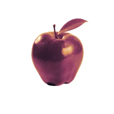 Profile image of 屋敷の主
