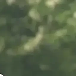 이지훈