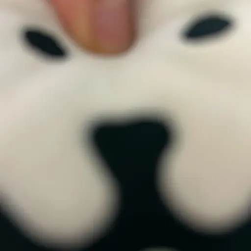 DampCar7435의 똥담곰;;;