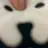 똥담곰;;;