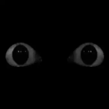 Profile image of Daemon