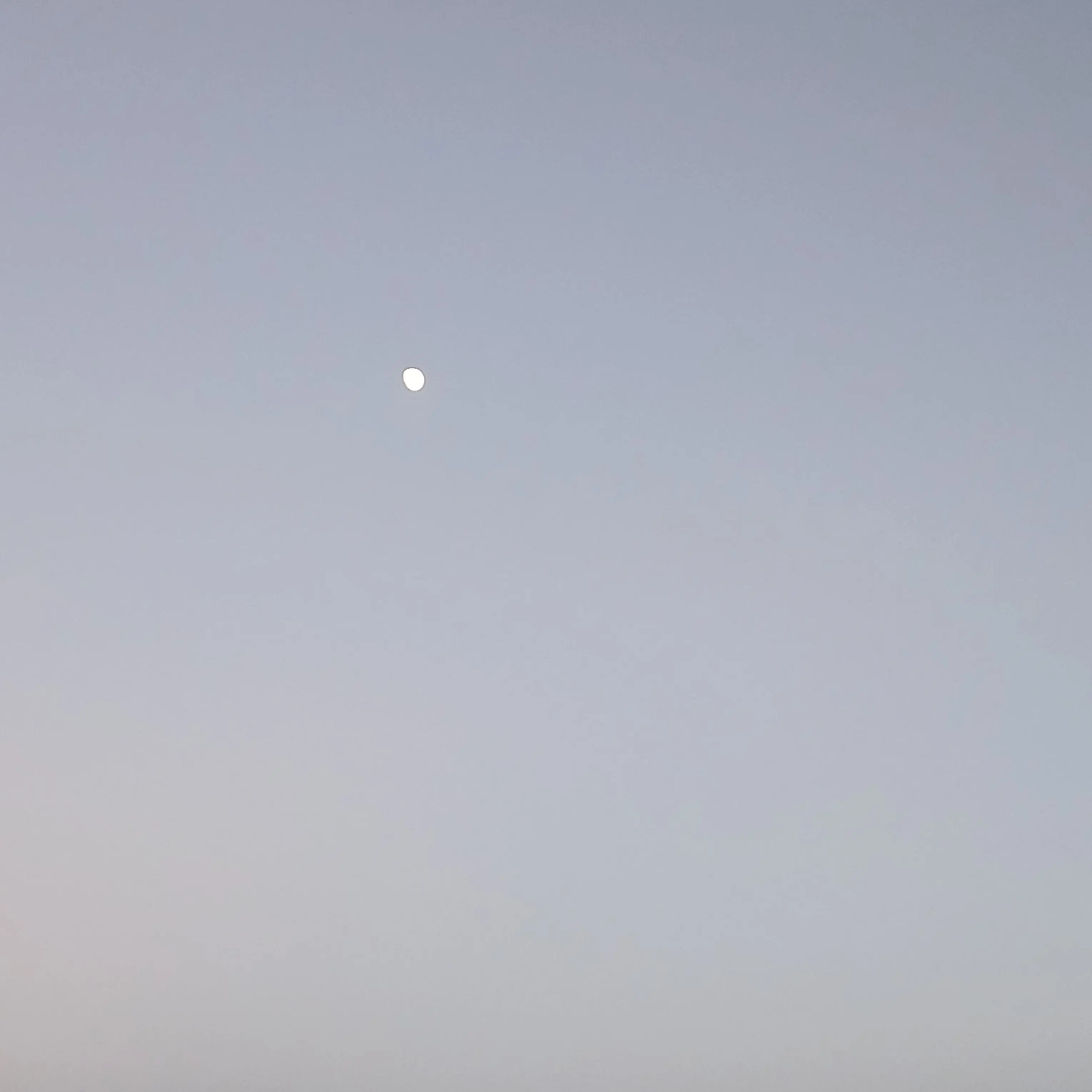 HuskyFear8322의 강태현