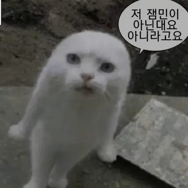 Profile image of 늑대