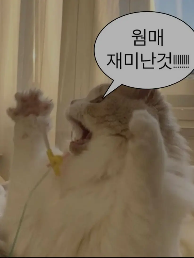 GoodForsaken의 포세이큰 수학여행 여우년 늑대놈