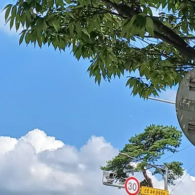 Profile image of 뜰팁 f5