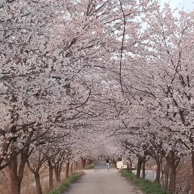 Profile image of 이서연
