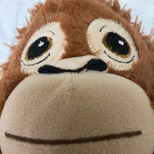 노호준