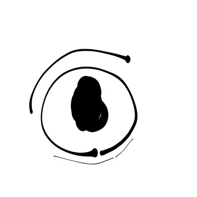 Profile image of 김수정