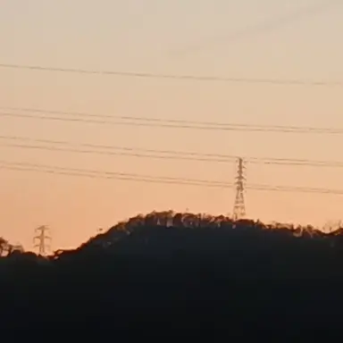 Profile image of 여우