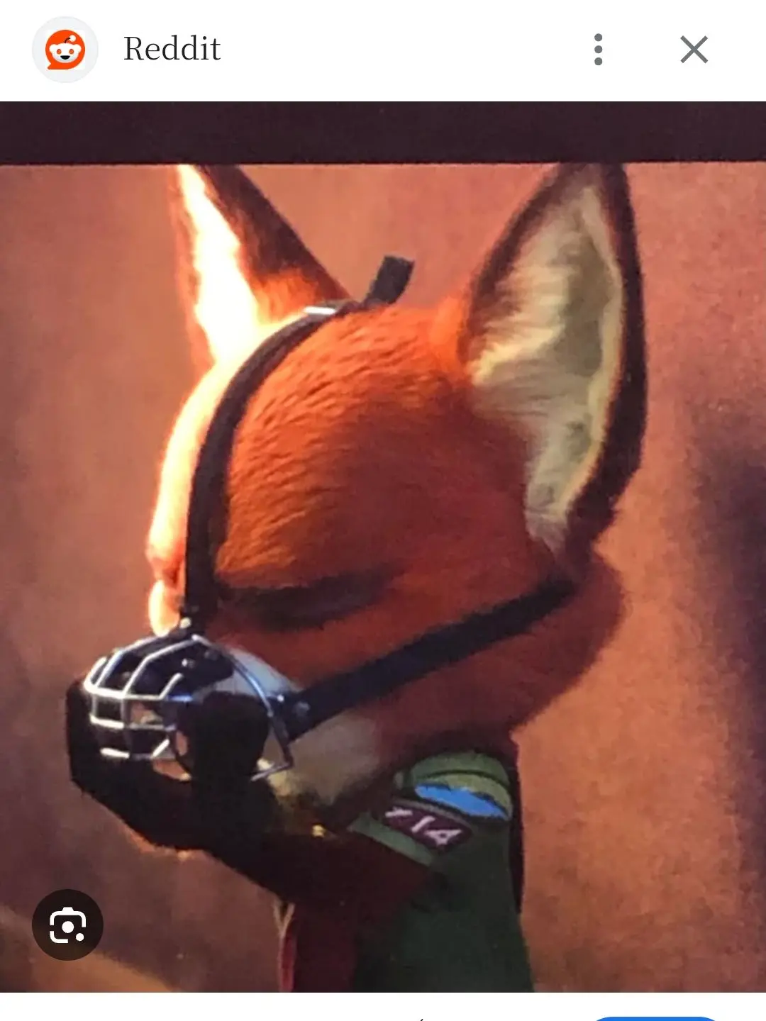 DampDecal2206의 주토피아2