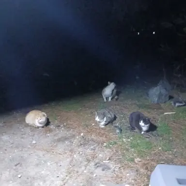 Profile image of 제작자