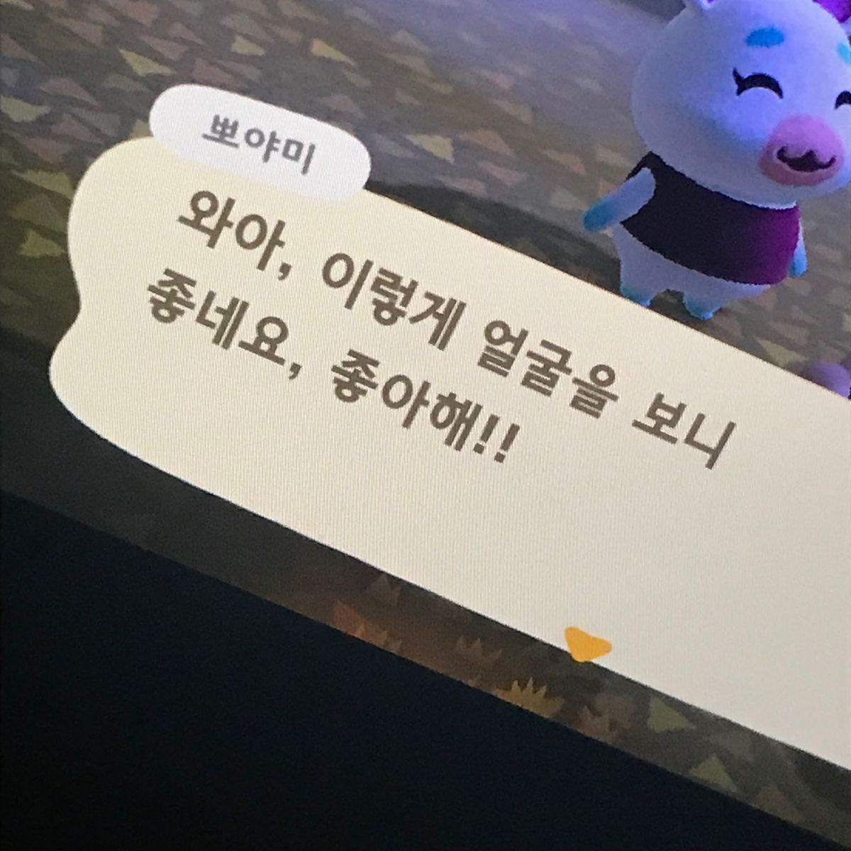 배진솔 대표 이미지