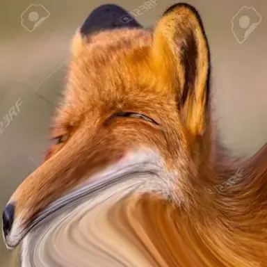 Profile image of 여우