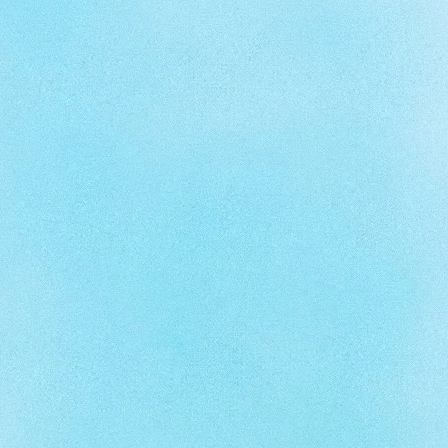 권지용