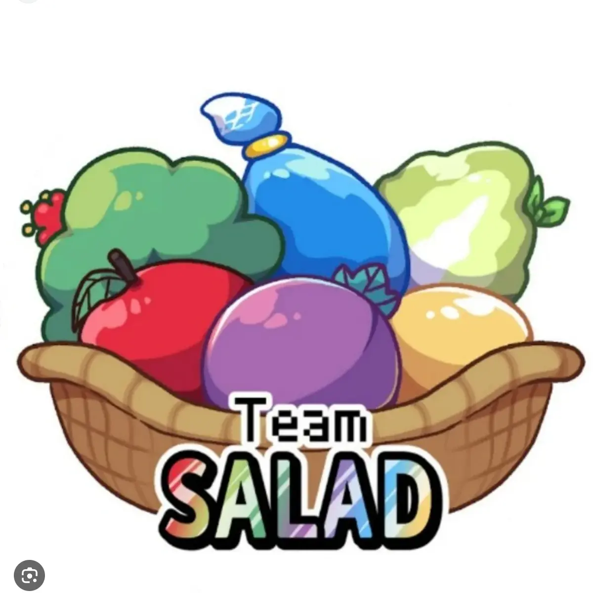 NutmegBrain2781의 팀샐러드