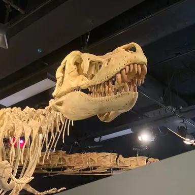 Profile image of ㅎㅊㅎ