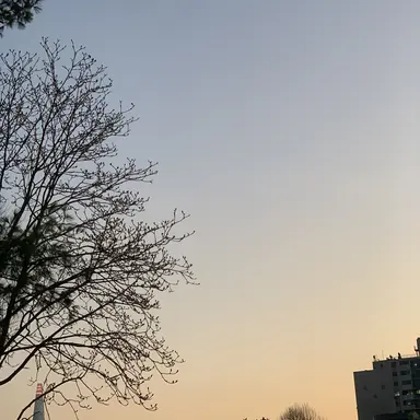 Profile image of 조신우