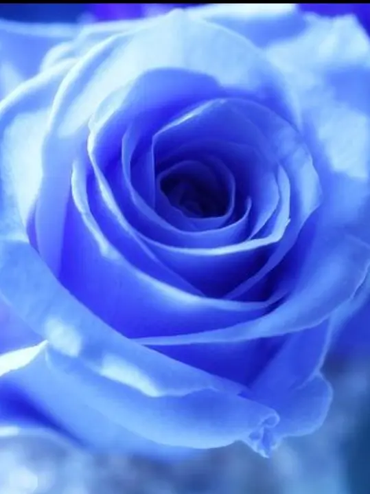 MGA.Love1414의 神 様