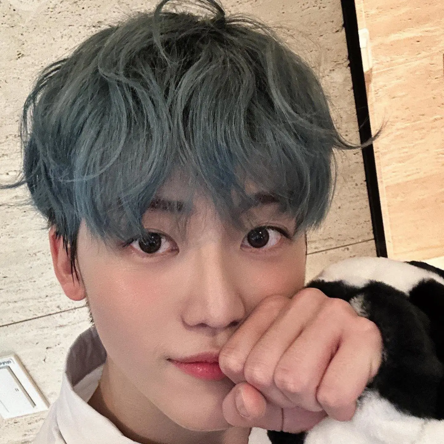 Nctzen_813의 Nct 재민