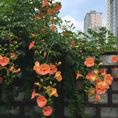 Profile image of 박덕개