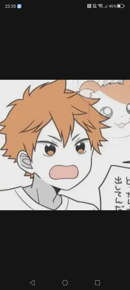 Profile image of 日向翔陽