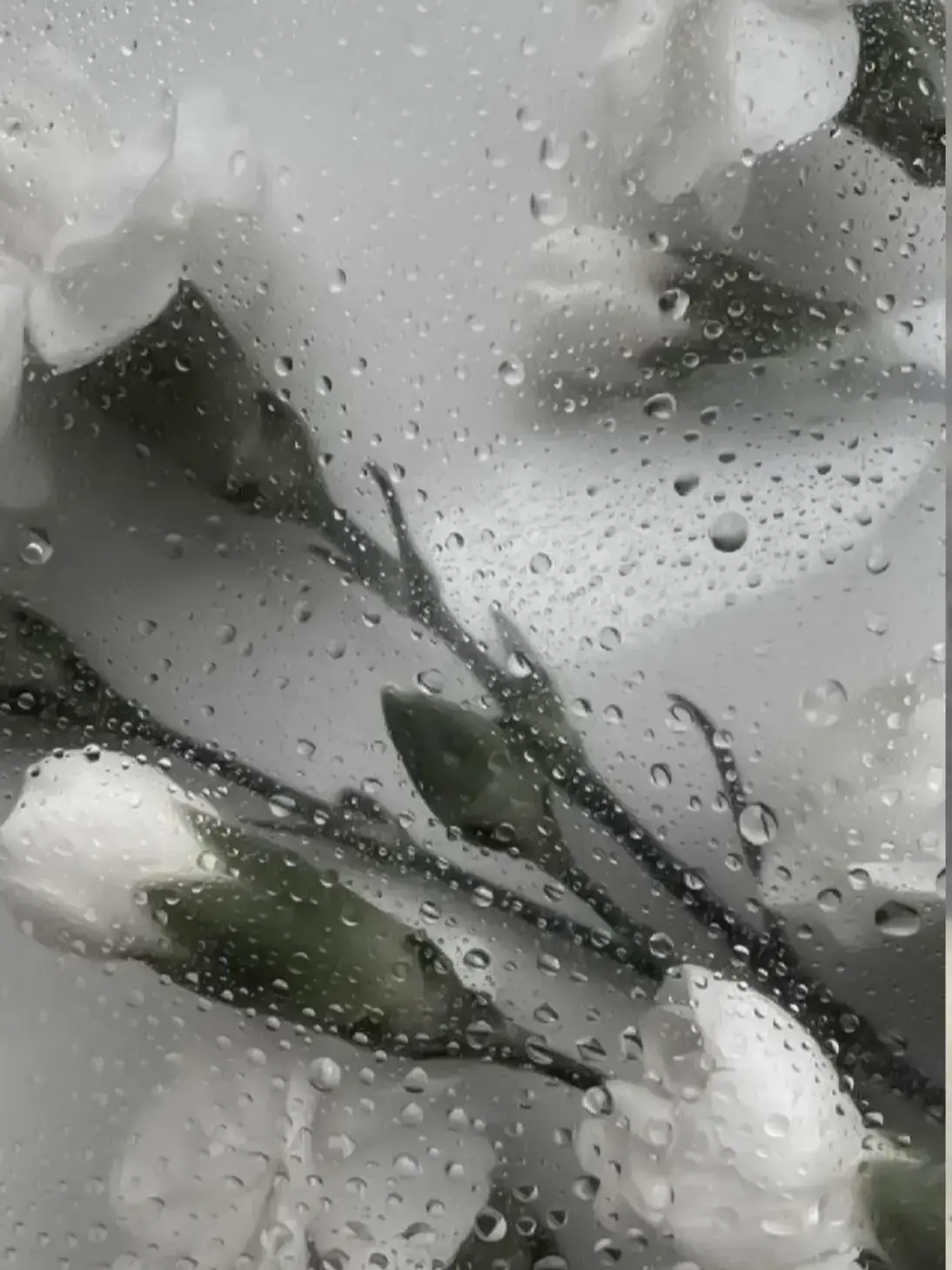 RIKU1818의 元恋人とセ○レになった