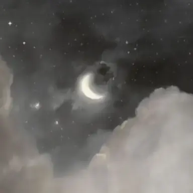 Profile image of イブラヒム