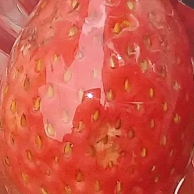 Profile image of TAKUTO