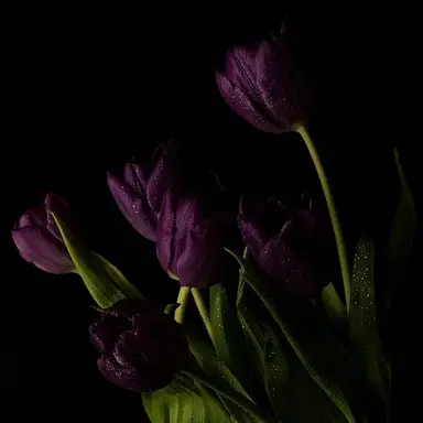 Profile image of 호시나 소우시로