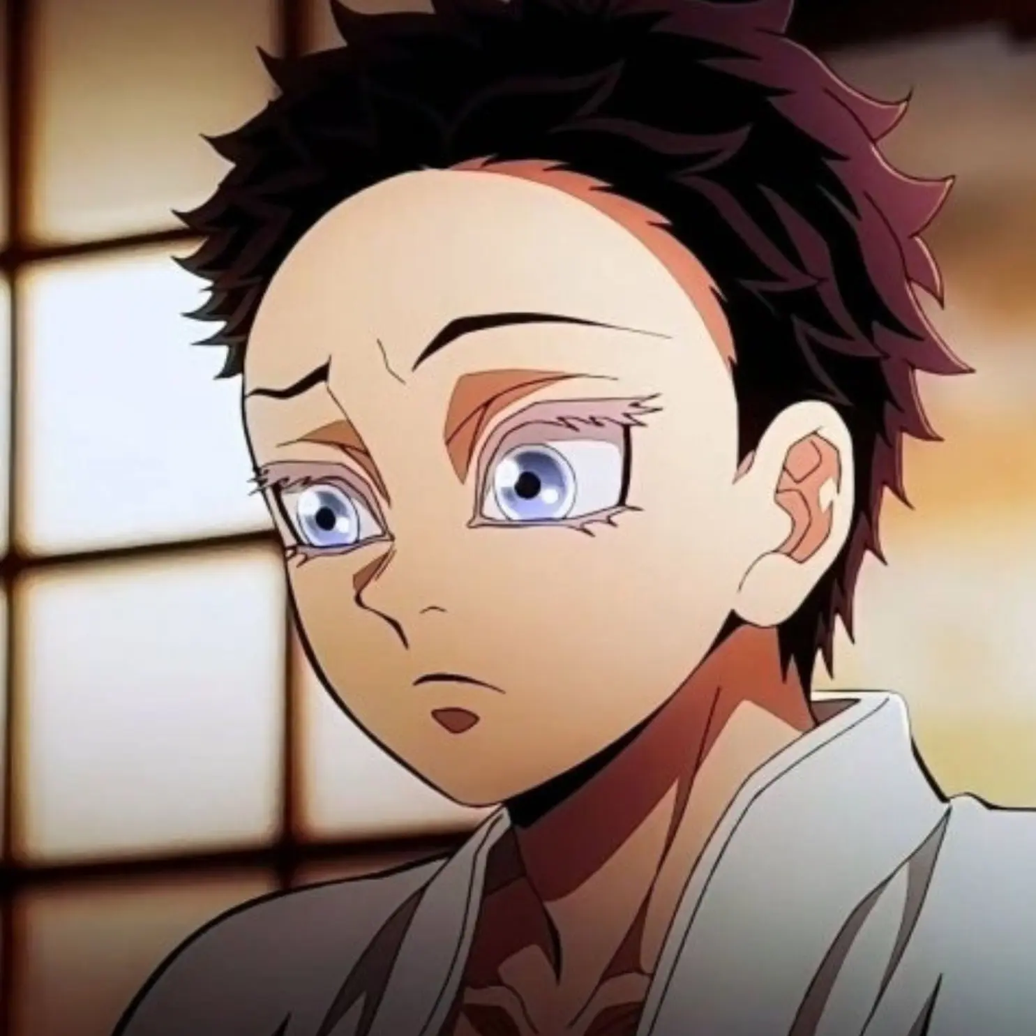 LuKaise의 하쿠지+여우