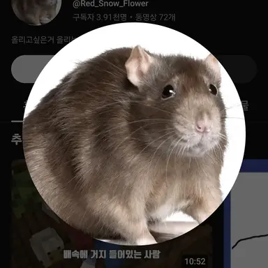 Profile image of 적설화