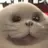 람비