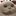 람비