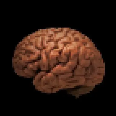Profile image of 安田先生
