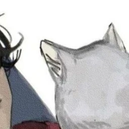野良猫