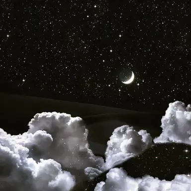 Profile image of 目黒蓮