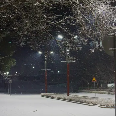 Profile image of 나경