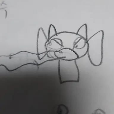 Profile image of 더플