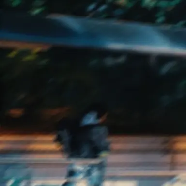 Profile image of ハン