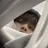 김선우